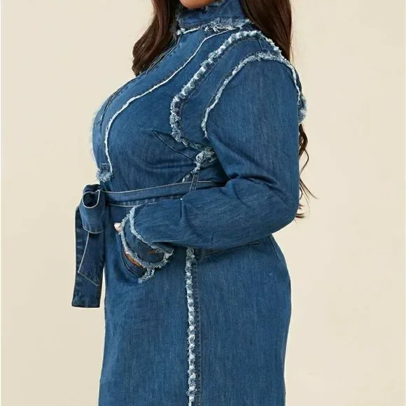 L'Atiste Plus Size Dress Frayed Trim Denim - Picture 4 of 11